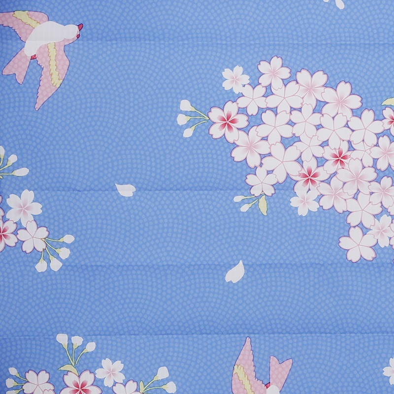 COMPACT M JAPAN - Imagen 4